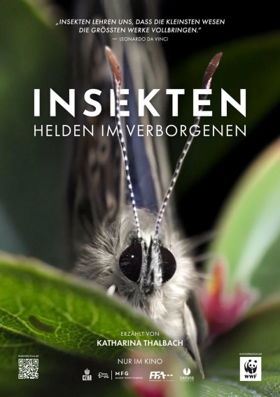 Filmplakat Insekten-Helden im Verborgenen 